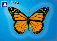 Картичка BUTTERFLY LP124