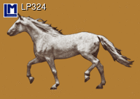 Картичка HORSE SKELETON LP324