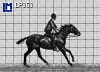 Картичка HORSE RIDER LP 353
