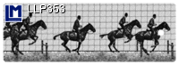 Bookmark HORSE RIDER LLP353