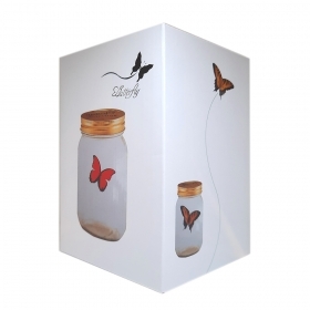 Butterfly in a Jar